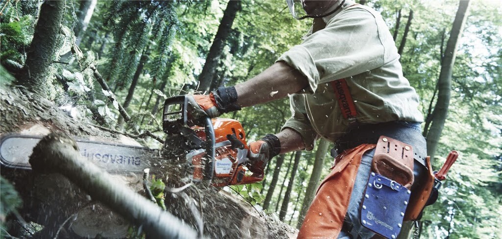What Chain Does My Chainsaw Need? A Guide to Choosing the Correct Chainsaw Chain